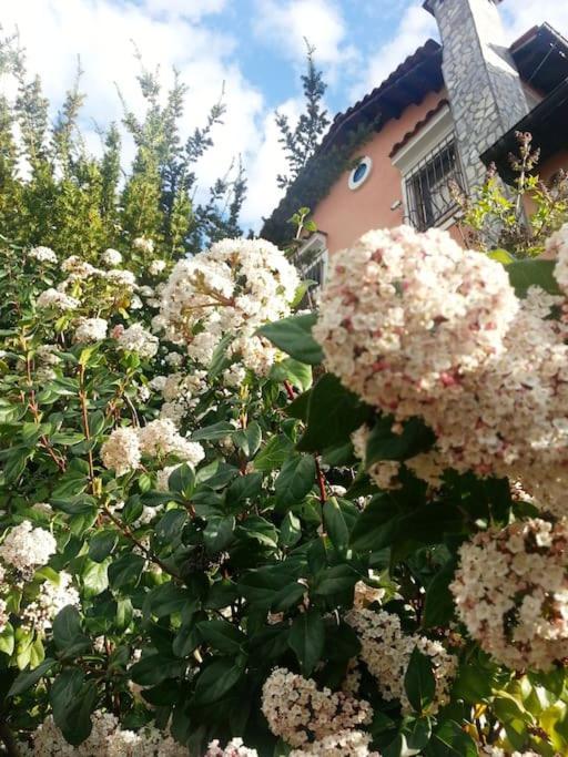 Villa Tethys Mountain Resort Zákas Zewnętrze zdjęcie