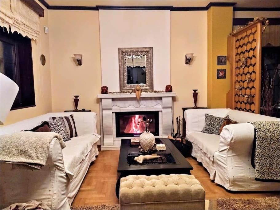 Villa Tethys Mountain Resort Zákas Zewnętrze zdjęcie