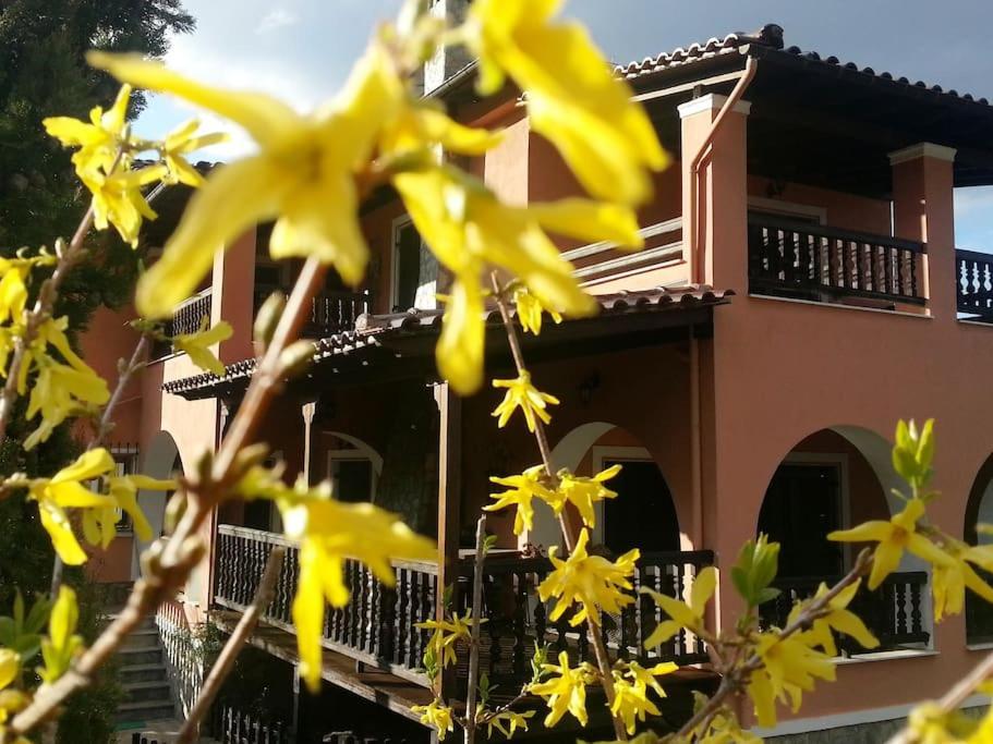 Villa Tethys Mountain Resort Zákas Zewnętrze zdjęcie