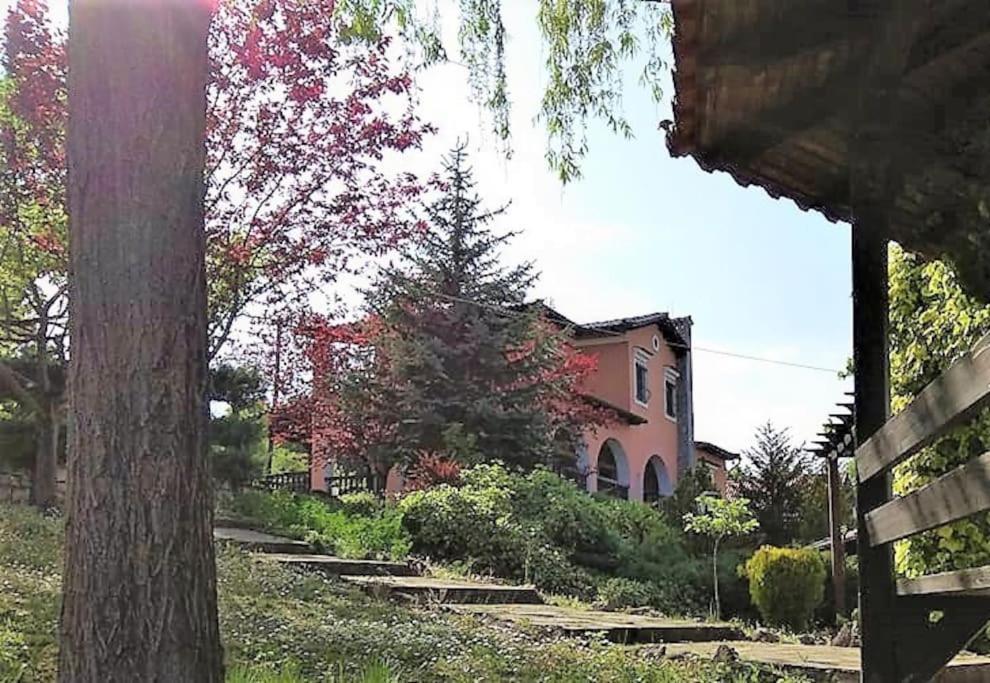 Villa Tethys Mountain Resort Zákas Zewnętrze zdjęcie