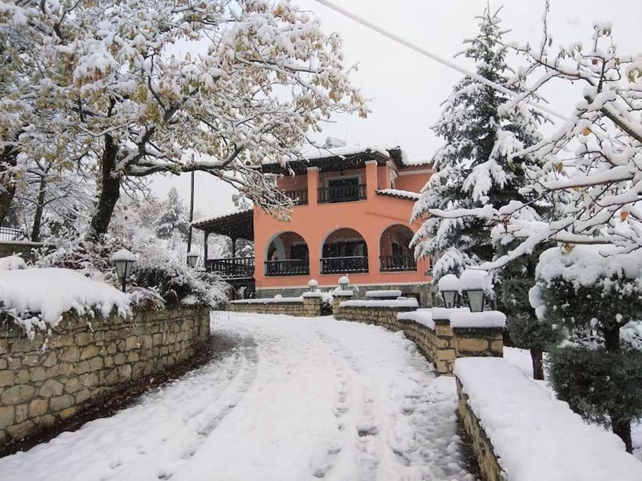 Villa Tethys Mountain Resort Zákas Zewnętrze zdjęcie